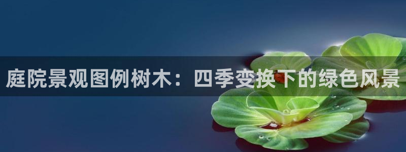 hr娱乐 卧龙招商60447