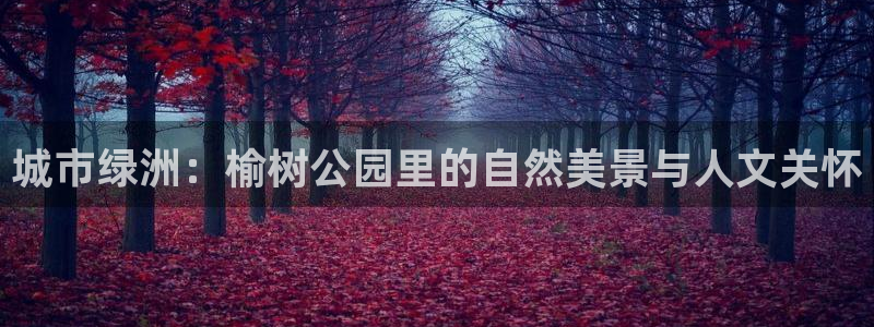 娱乐卧龙