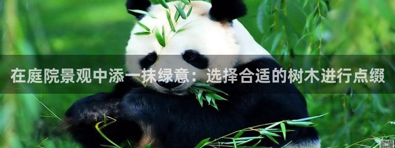 卧龙看娱乐