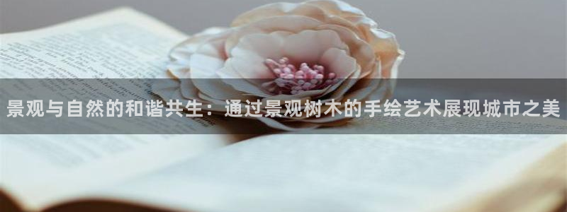 卧龙区娱乐