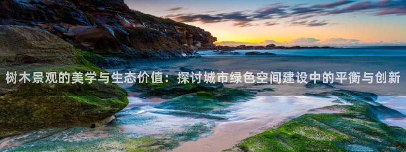 卧龙娱乐 找86555