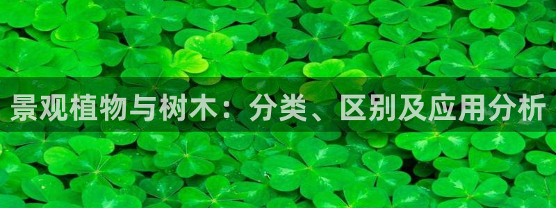 j卧龙娱乐