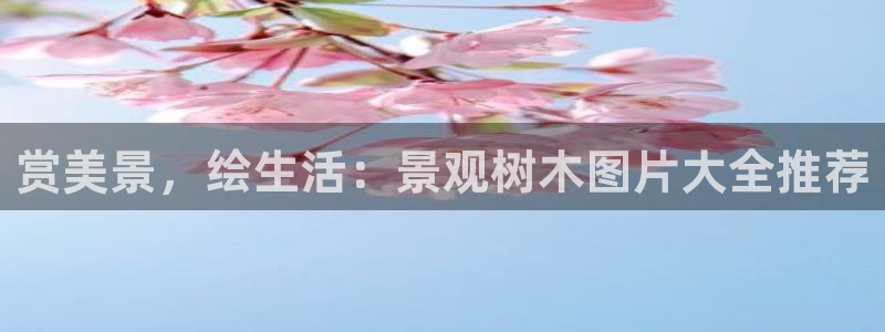 卧龙娱乐平台