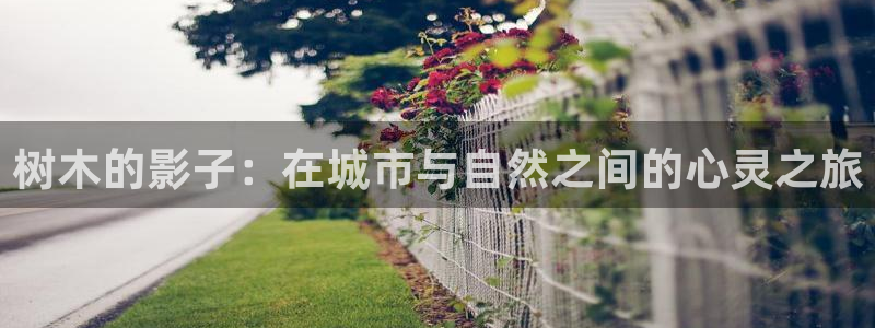 卧龙娱乐官网首页下载