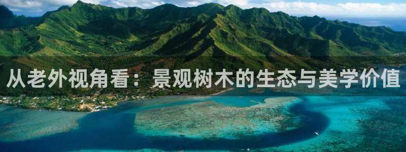 卧龙娱乐彩票官网下载