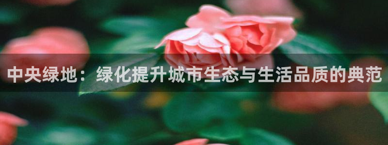 卧龙湾娱乐休闲会所电话