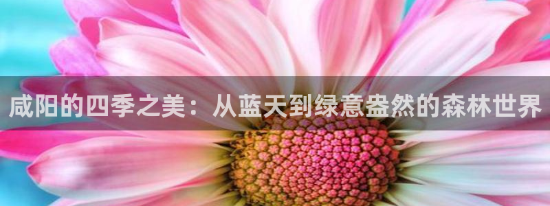 卧龙娱乐违法吗