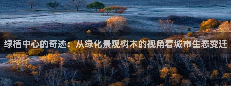 卧龙风雏娱乐