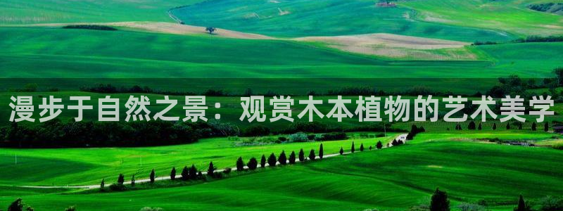卧龙湾娱乐购票