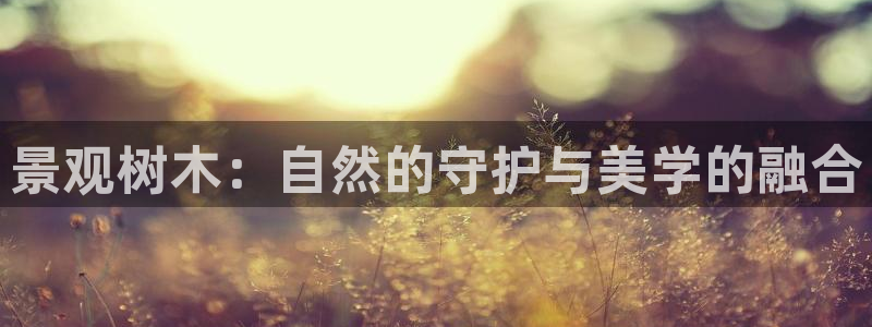 卧龙水上娱乐