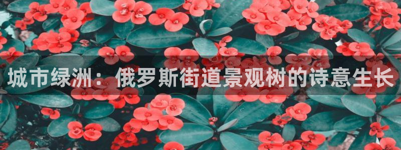 卧龙娱乐APP