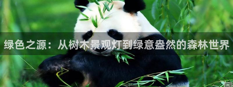 卧龙湾娱乐休闲会所电话