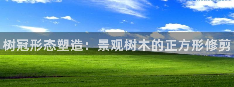 卧龙娱乐号