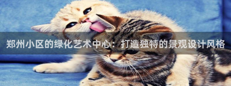 卧龙凤雏娱乐夫妻