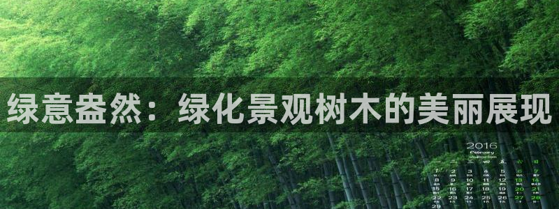 卧龙娱乐382223：绿意盎然：绿化景观树木的美丽展现
