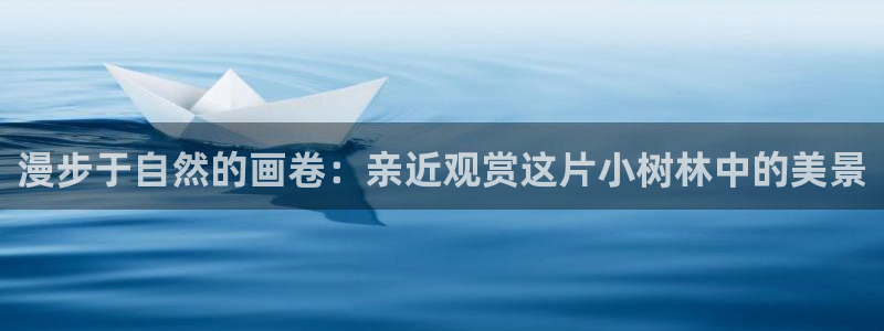 sky娱乐  0 47卧龙：漫步于自然的画卷：亲近观赏这片小树林中的美景
