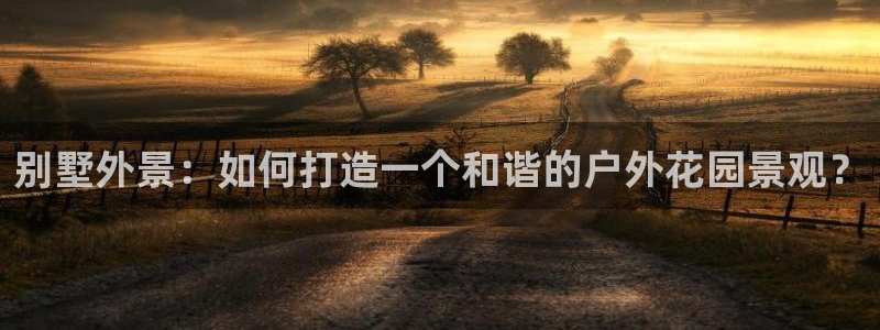 卧龙区社交娱乐