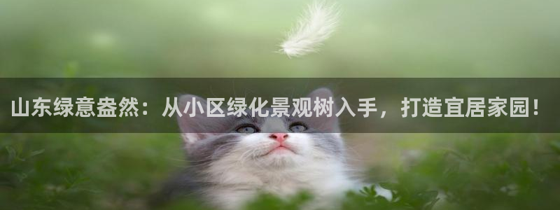卧龙娱乐app彩票下载