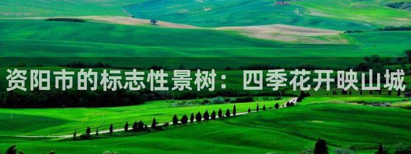 卧龙娱乐彩票兑奖中心：资阳市的标志性景树：四季花开映山城