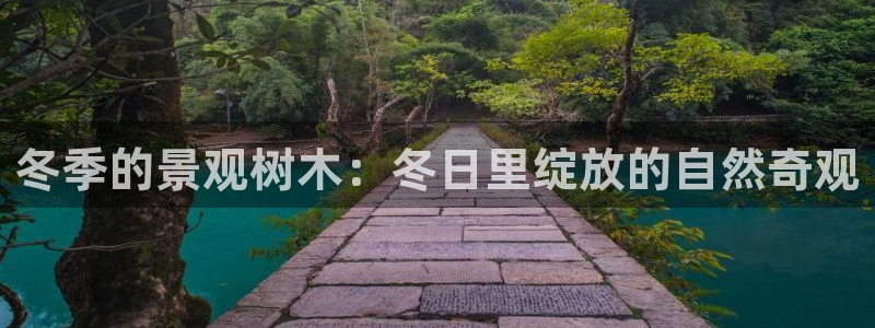 卧龙娱乐老板是谁