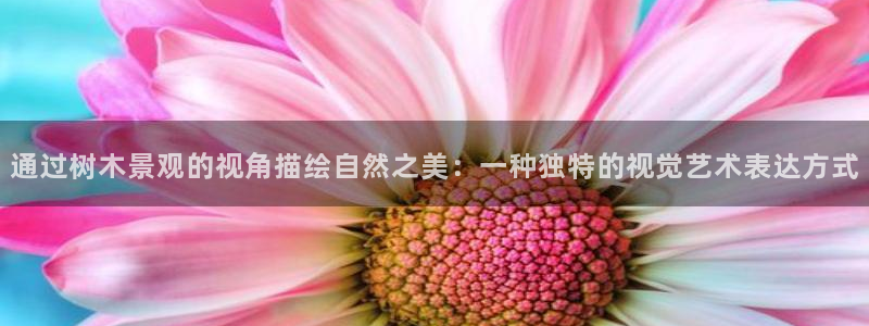 卧龙娱乐地