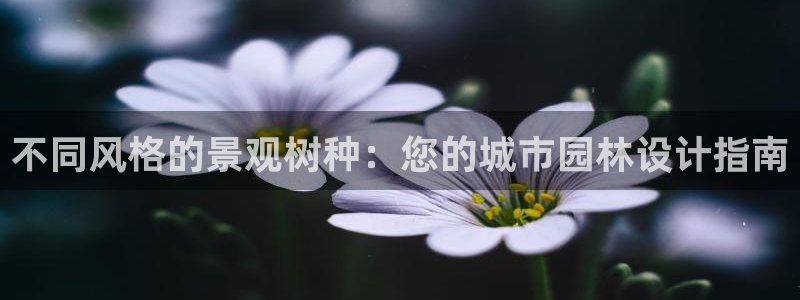 卧龙娱乐属于什么公司：不同风格的景观树种：您的城市园林设计指南