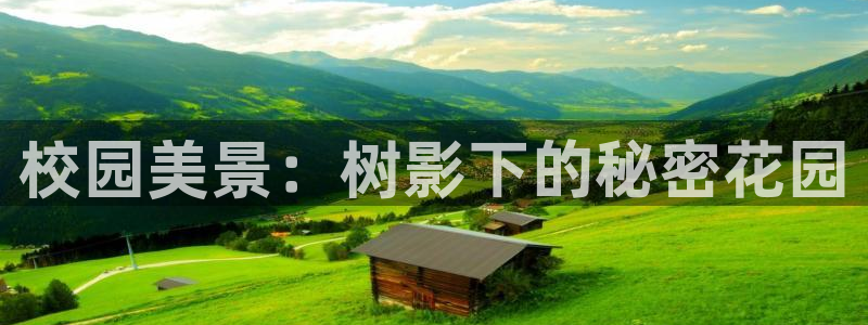 卧龙凤雏娱乐夫妻