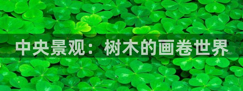 卧龙娱乐在线直播：中央景观：树木的画卷世界