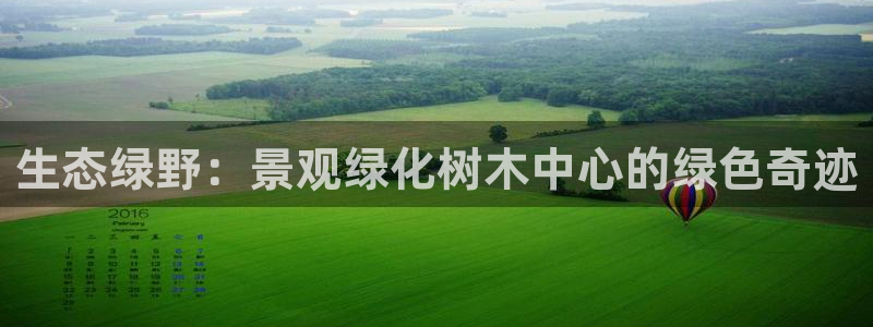 卧龙区社交娱乐