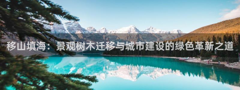 卧龙娱乐登录地址：移山填海：景观树木迁移与城市建设的绿色革新之道