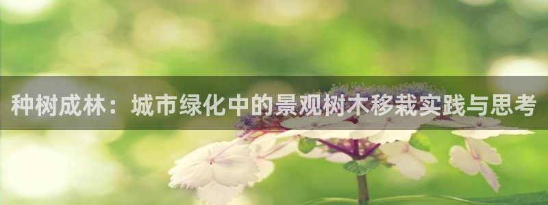 南阳卧龙站到尊上娱乐