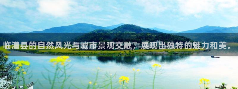 卧龙娱乐老板是谁呀视频