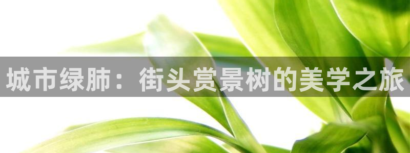 卧龙娱乐主管是谁呀：城市绿肺：街头赏景树的美学之旅