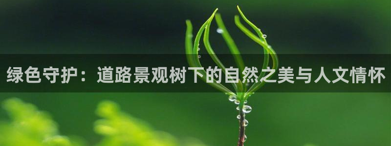 卧龙娱乐招商主管薪资：绿色守护：道路景观树下的自然之美与人文情怀