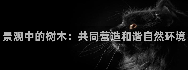 卧龙娱乐后