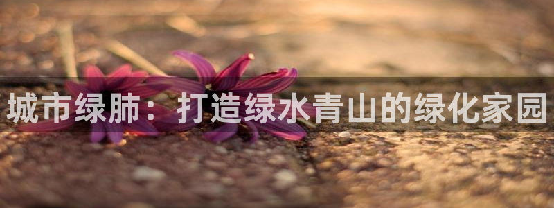 卧龙娱乐在线直播