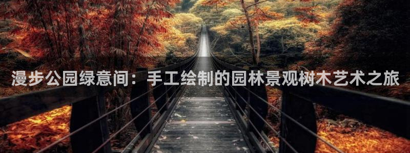 卧龙凤雏娱乐运城