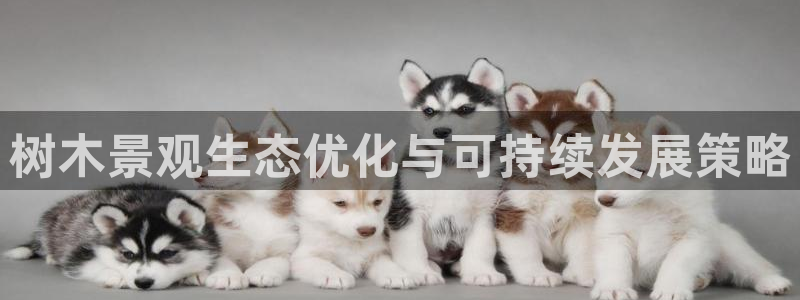 卧龙凤雏娱乐运城：树木景观生态优化与可持续发展策略