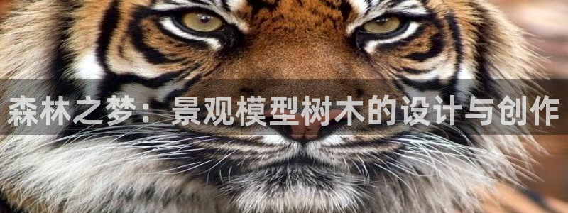 HR娱乐卧龙主管60447