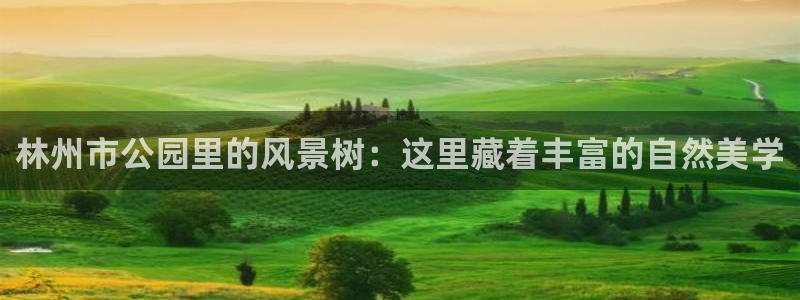 at娱乐 0 47卧龙