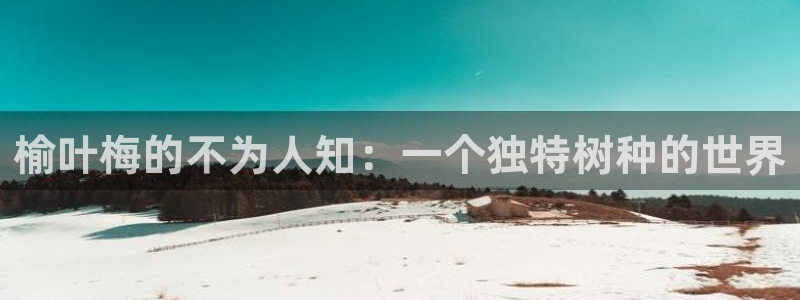 qq娱乐 卧龙主管60447