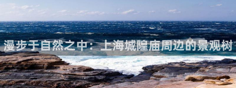 卧龙沟娱乐场