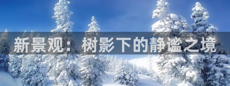 卧龙娱乐过山车