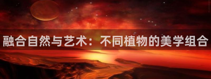 hr娱乐 卧龙招商60447