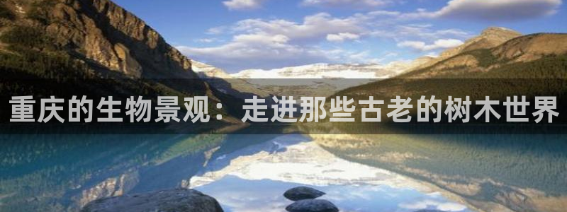 卧龙天尊国际娱乐会所
