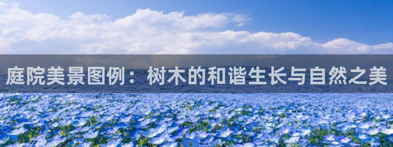 娱乐卧龙凤雏