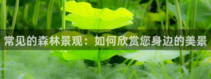 太和卧龙娱乐会所地址