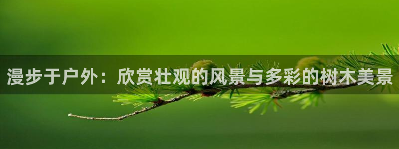 at娱乐 0 47卧龙