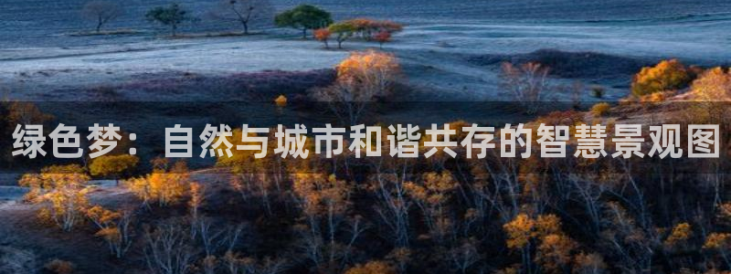 卧龙棋牌娱乐官网首页