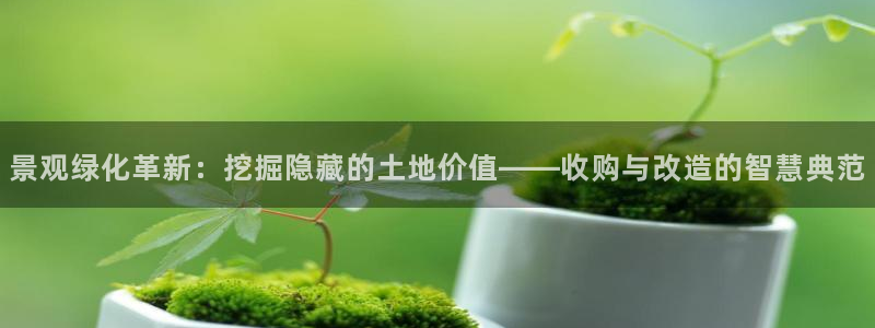 卧龙娱乐怎样注册会员：景观绿化革新：挖掘隐藏的土地价值——收购与改造的智慧典范